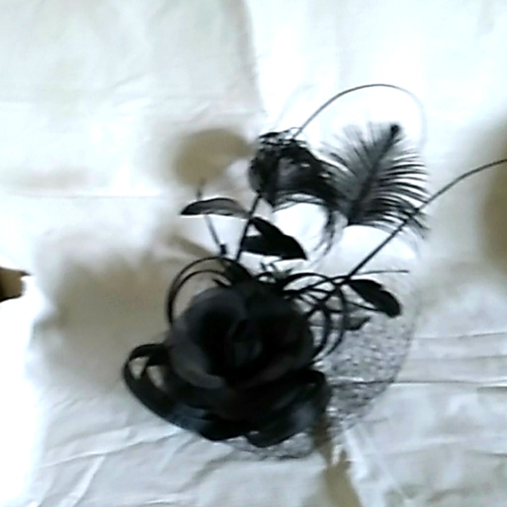 Woman's Fascinator